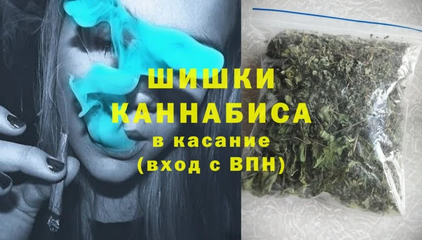 шишки Баксан