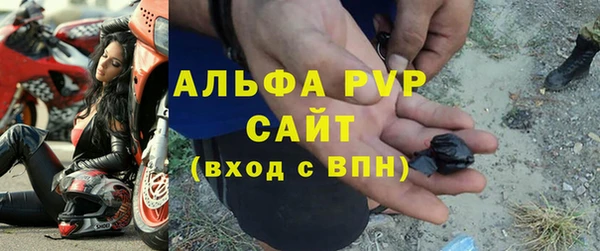 ПСИЛОЦИБИНОВЫЕ ГРИБЫ Белокуриха