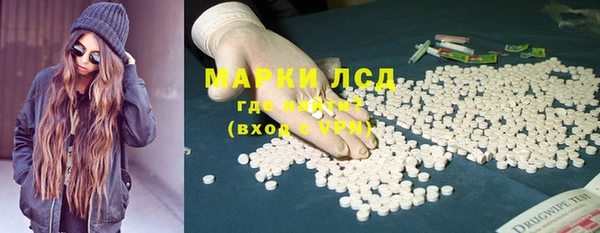 ПСИЛОЦИБИНОВЫЕ ГРИБЫ Белокуриха