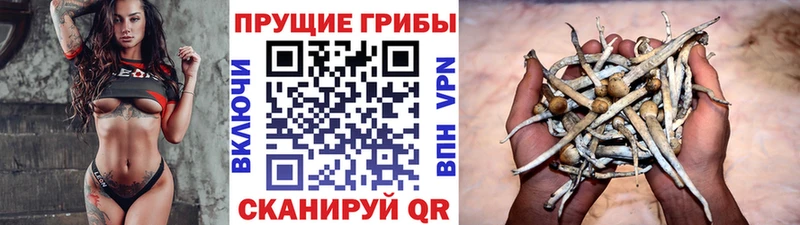 как найти наркотики  Покровск  Псилоцибиновые грибы Magic Shrooms 